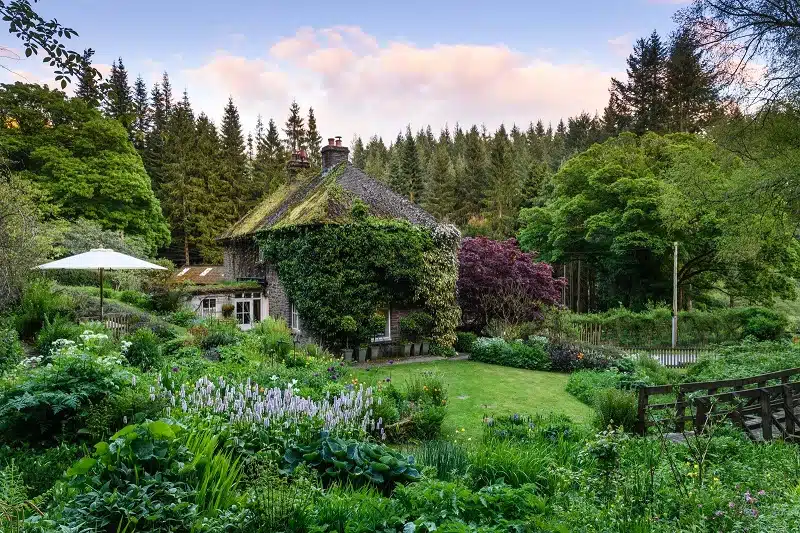 Faire revivre vos espaces extérieurs grâce à cet architecte paysagiste