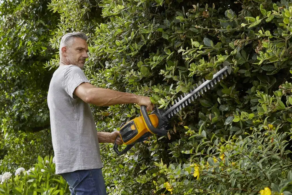 Quels sont les outils indispensables pour l'entretien d'un jardin toute l'année