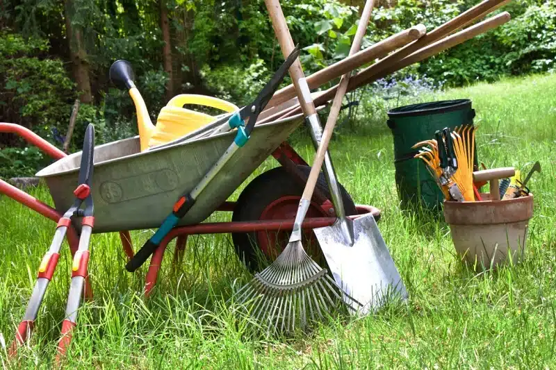 Quels sont les outils indispensables pour l'entretien d'un jardin toute l'année