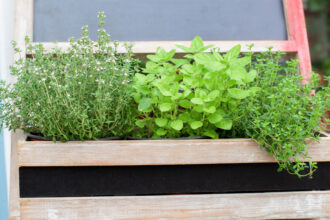 Comment installer un carré potager haut dans votre jardin ou sur votre terrasse ?