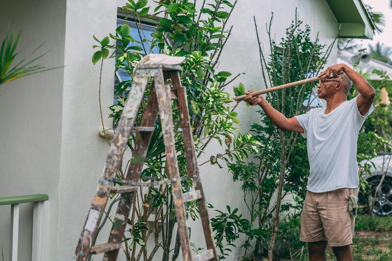 entretenir son jardin