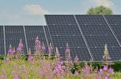 Panneau solaire : un investissement rentable sur le long terme
