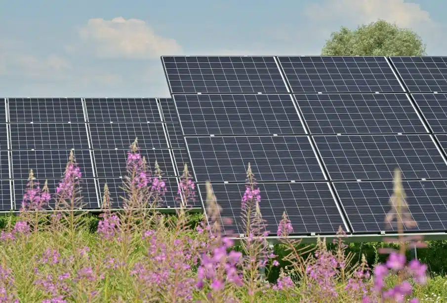 Panneau solaire : un investissement rentable sur le long terme