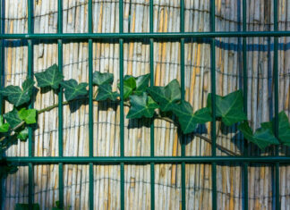 Pourquoi opter pour une clôture en aluminium ?