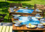 Salon de jardin : Pourquoi choisir le teck ?
