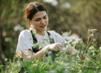 Comment tailler un jardin de façon écologique et responsable tailler jardin