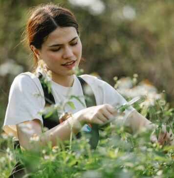 Comment tailler un jardin de façon écologique et responsable tailler jardin